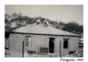 2-pat-housebuilding-481