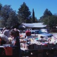 Thanks to all book sale volunteers! The Friends of Patagonia Library held two major book sales in 2010. Our first major fundraising sale is held annually on the 4th of July and takes place in air-conditioned...
